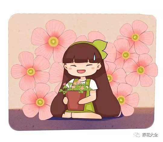 休眠的种球别扔, 这样一处理, 来年还能接着长!
