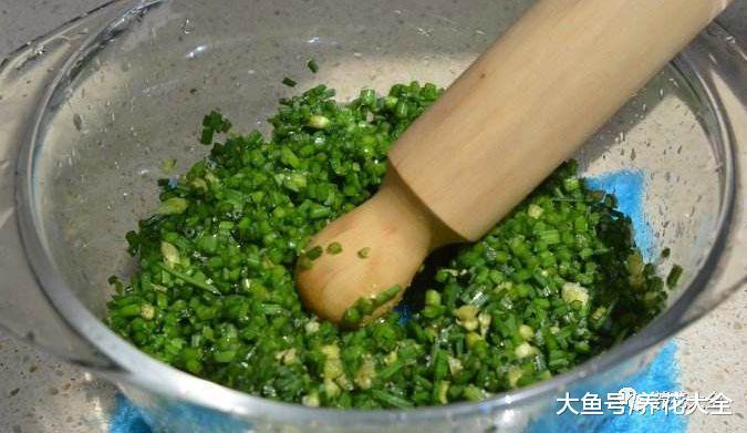 几粒大蒜埋花盆里, 虫子蚂蚁全杀光, 1个不留!