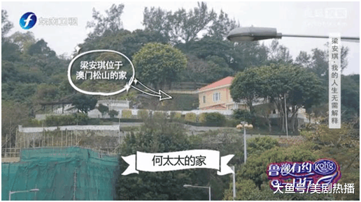 鲁豫去赌王四太家做客, 看到桌上饺子不淡定了, 网友: 豪门真讲究