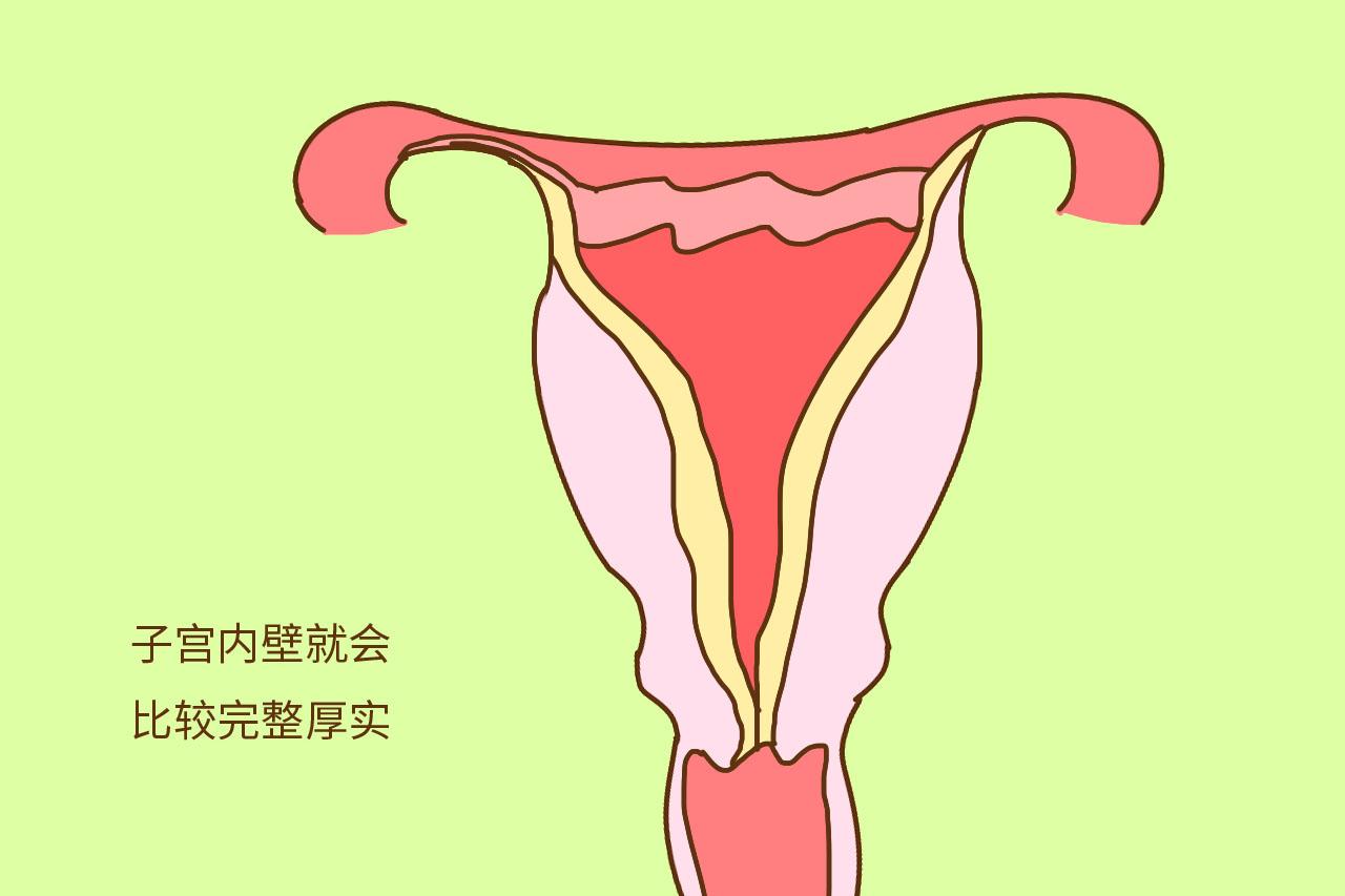 这3类孕妈, 不必担心宝宝出生体质差, 因为身体的保护很强大
