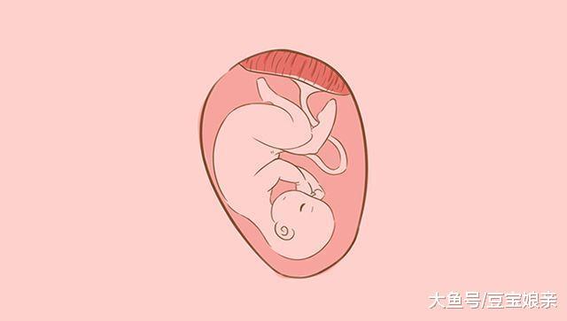 胎儿太小就是营养不良? 也可能是这些原因