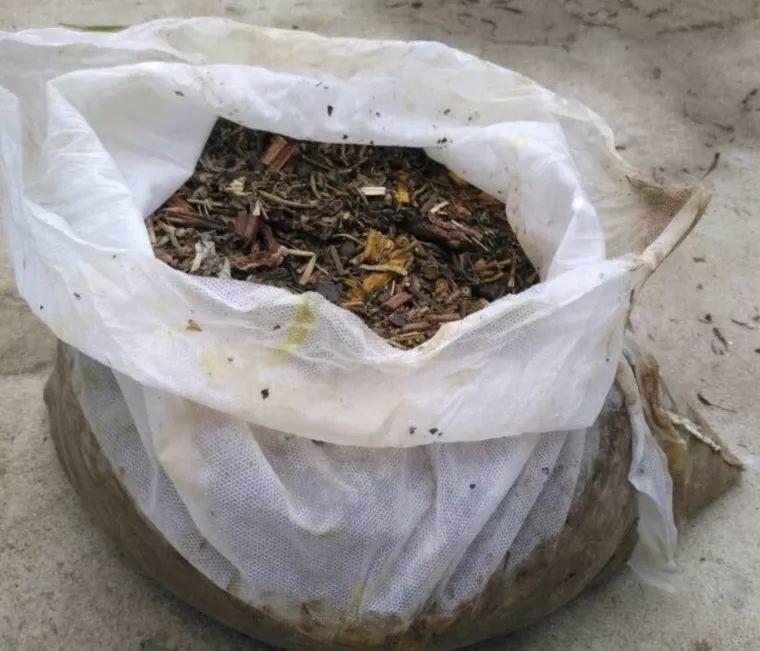 给花吃点美容药, 不黄叶不烂根, 一茬一茬开不停!