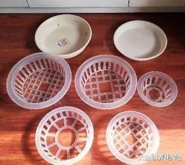 用完的塑料瓶别扔, 这样一改造, 就是自动浇水神器!
