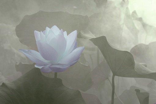 禅语感悟人生的段子, 句句大实话, 让你少走弯路!