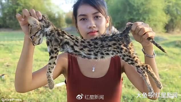 钓鱼猫、眼镜王蛇也敢吃! 这对年轻夫妇因烹食濒危动物被捕