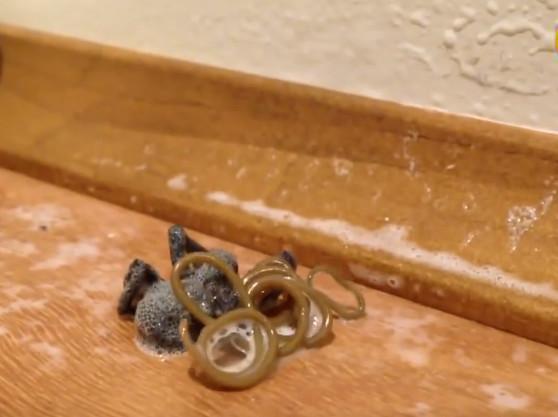 女子住酒店发现一只蜘蛛, 将喷虫剂喷它身上后, 她顿时感到恶心