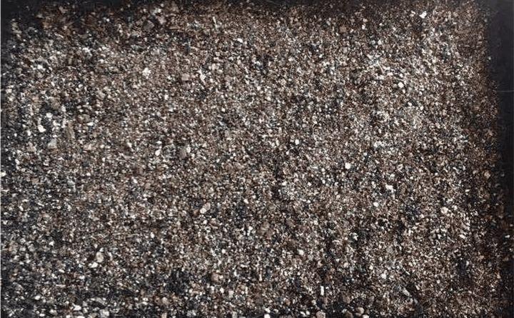 巴掌大的阳台, 种这2种菜, 15天就能吃一茬!