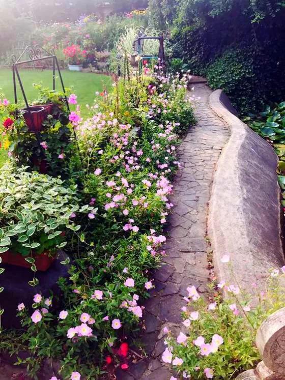 68岁爷爷, 打造的最美私家花园, 老外都慕名而来!