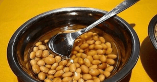 邻居养虎皮兰有妙招, 来点“黄豆水”, 不仅花根壮实叶还亮!