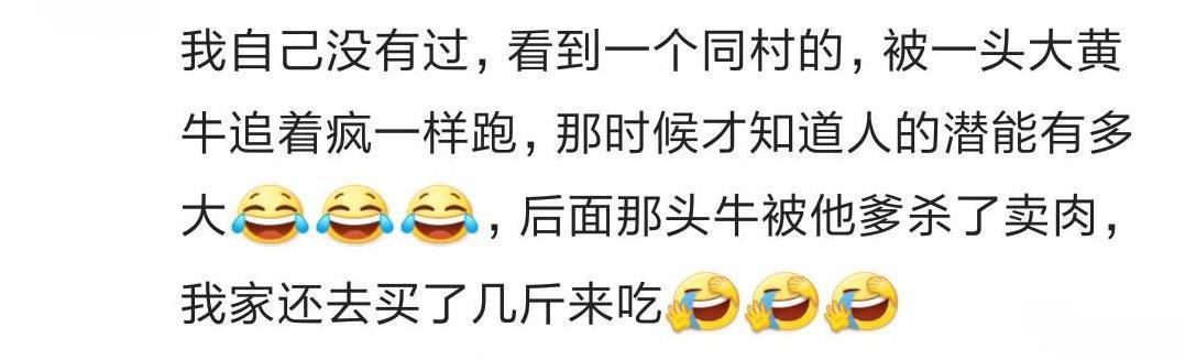 年少时你有没有被家禽怼过? 笑的我滚到桌子下面去了