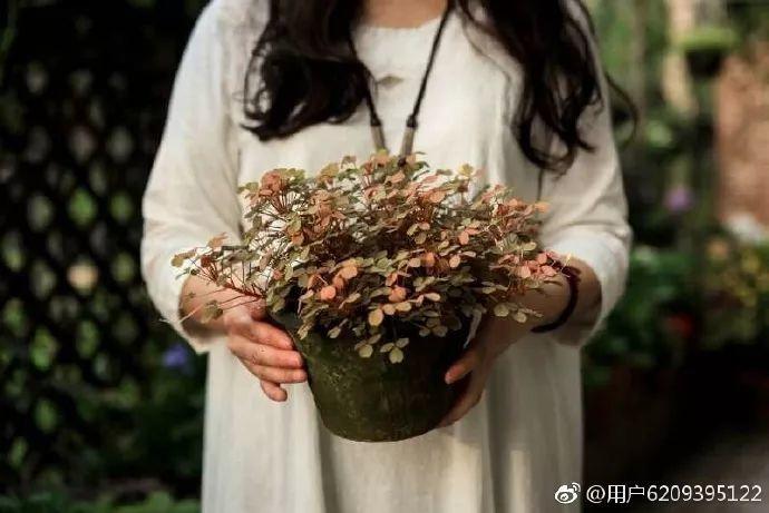 她的北阳台花园, 推门就是千亩湖, 仙境也不过如此!