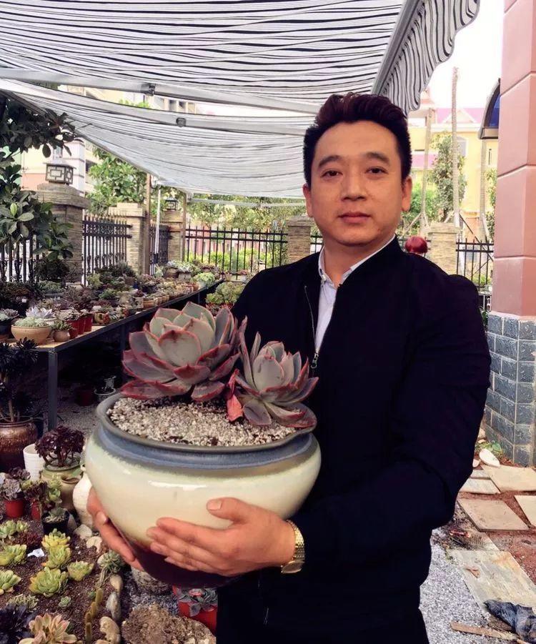 养了8年的胧月老桩, 这个奶爸不一般, 娃和多肉一起养!