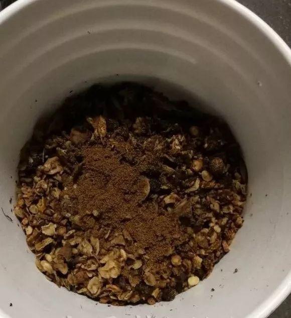 给花吃点美容药, 不黄叶不烂根, 一茬一茬开不停!