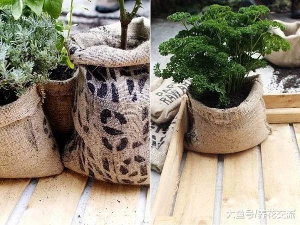 5种非常实用的园艺养花创意, 自己在家DIY肥料和驱虫剂