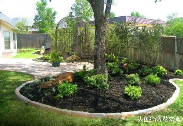 在树荫下布置一些草本开花植物, 整个院子都变得清新迷人