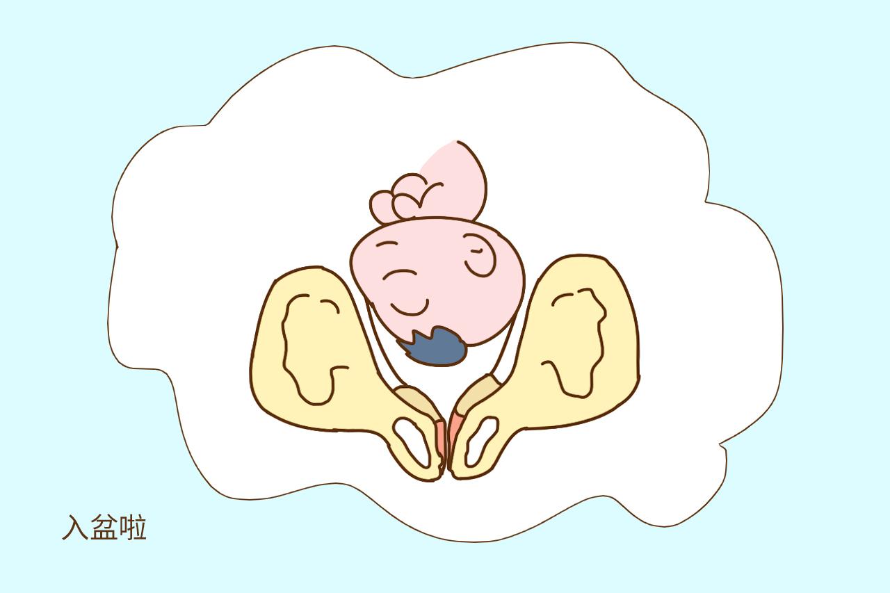 关于胎儿入盆时间、何时分娩这些事, 你真的清楚吗?