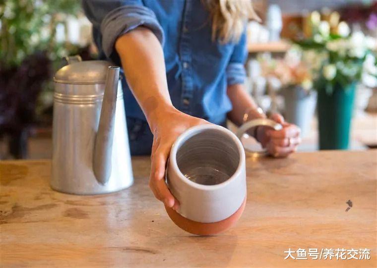 用这个方法你就能像园艺师那样在包装花束了, 一个瓶子就足够