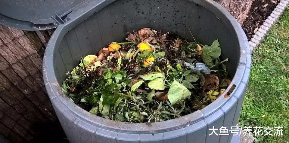 用一个小桶就能自制健康无害的有机堆肥, 废弃垃圾变成实用的肥料