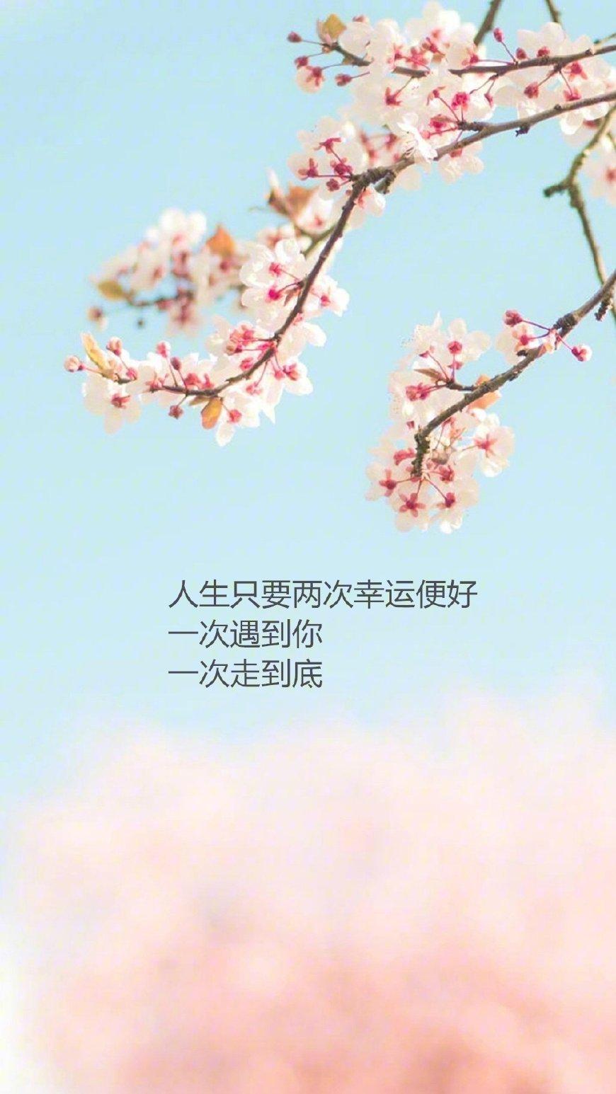 20句唯美心情签名语录, 句句窝心!