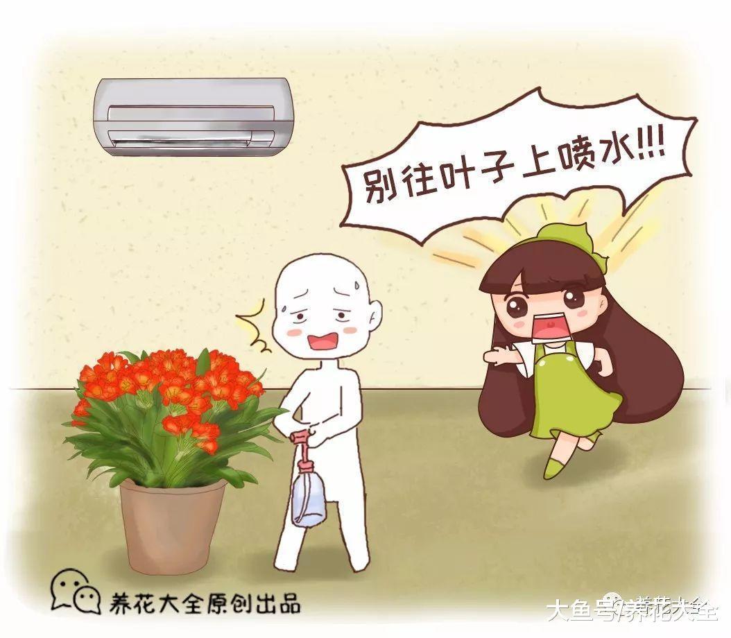 这10种花, 千万别朝叶片喷水, 要不喷1盆死1盆!