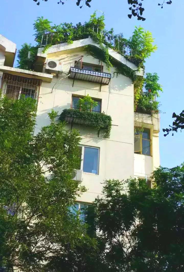 70岁大爷, 皇城边上建空中花园, 让人叹为观止!