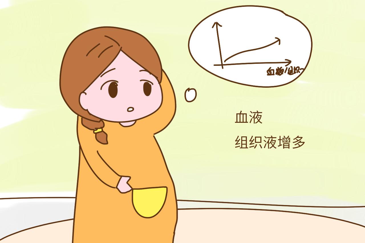 孕妈怀孕时增长的体重都长哪了? 终于知道为什么生完之后还这么重