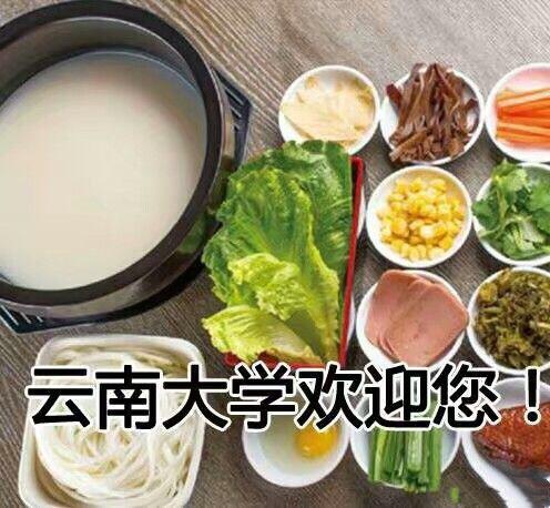 高考志愿填报指南, 只能帮你们到这了