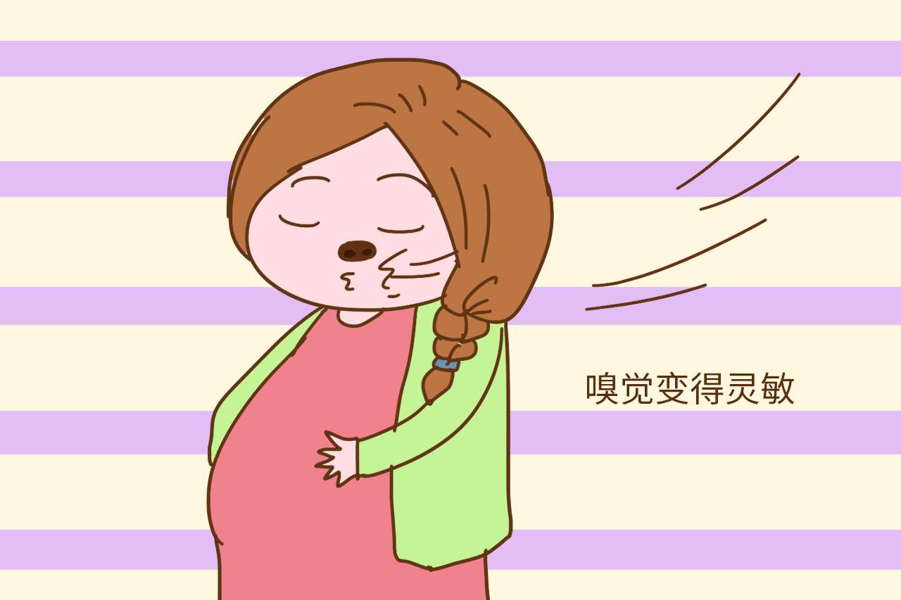 为什么同样是怀孕, 有的孕妈孕吐不明显, 有的孕妈孕吐却很严重