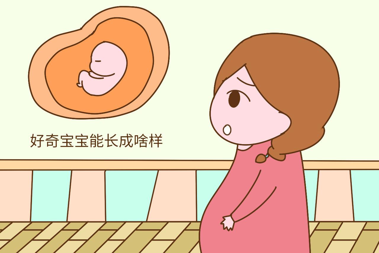 肚子里的宝宝生出来像爸爸还是像妈妈? 遗传密码告诉你答案