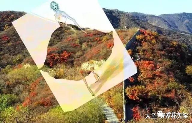 当美景遇上裙子, 只有想不到, 没有做不到!