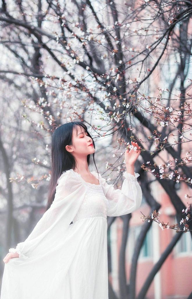 没有人会因学问而成为智者。学问或许能由勤奋得来, 而机智与智慧却有懒于天赋