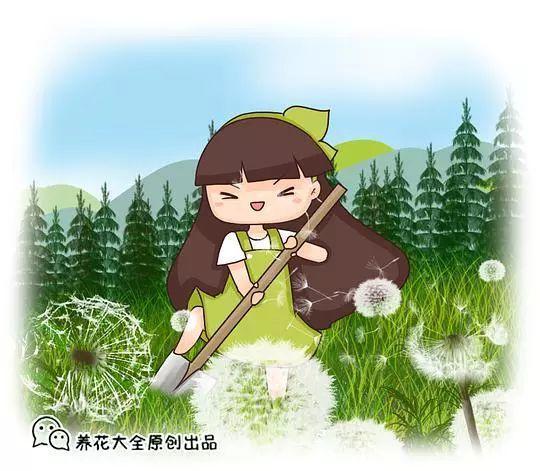 爬趟山带回10盆花, 一分钱没花, 连土都省了!