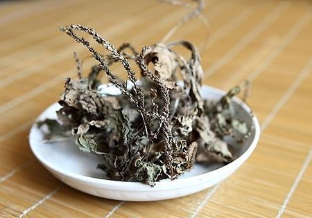 她坚持用车前草泡水喝, 半个天后身体出现奇怪的变化!