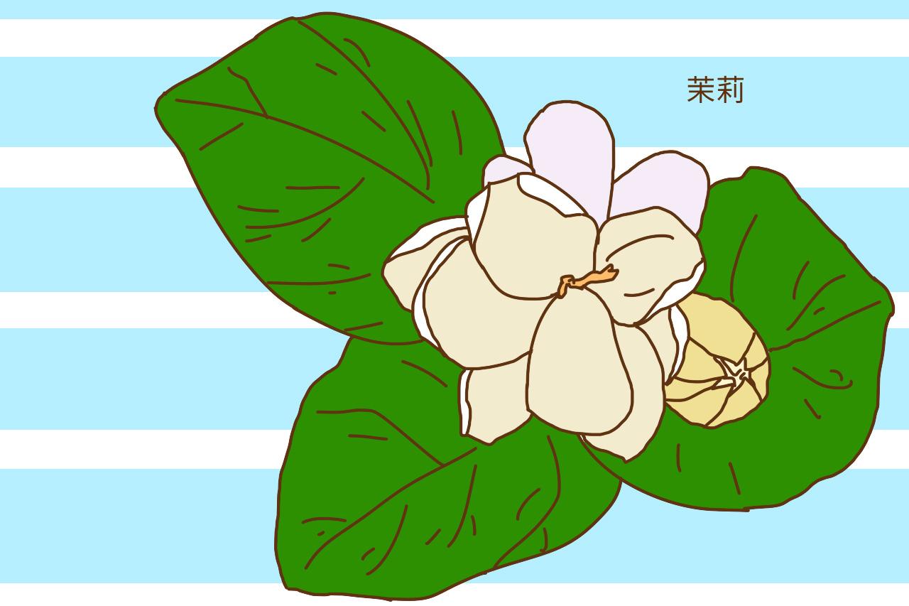 宝宝夏天总是被蚊子咬怎么办? 这位宝妈的做法值得点赞