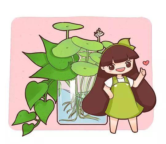 高温天就得把花丢水里, 一天长一截, 看着都凉快!