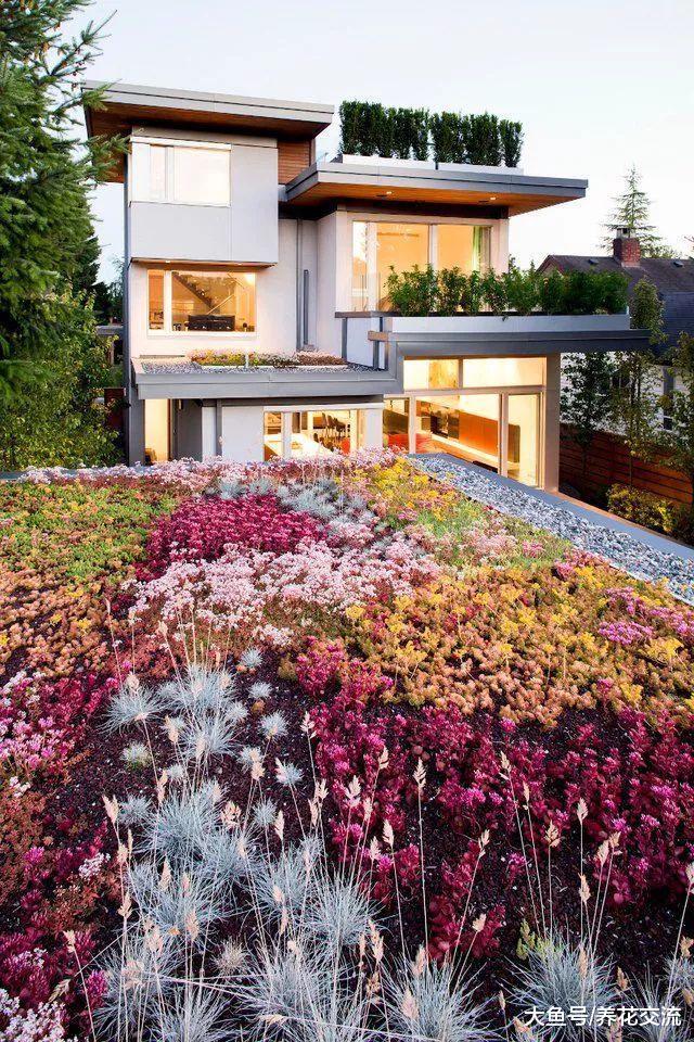 用这些植物就能将院子里改造成沙漠景观, 每一种都特别让人羡慕