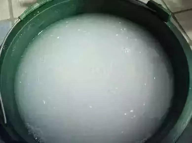 这6种生财花, 剪一枝就能长满盆, 省下大笔买花钱!
