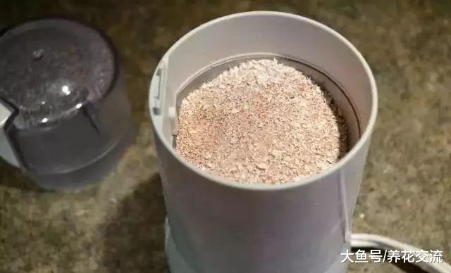 用鸡蛋壳来控制植物花卉的害虫, 不用药物也能防治病虫