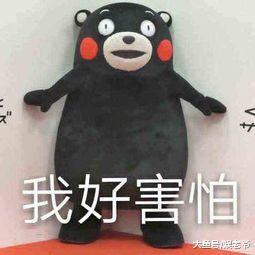 范冰冰凉了, 李晨会像对张馨予一样对范冰冰吗?