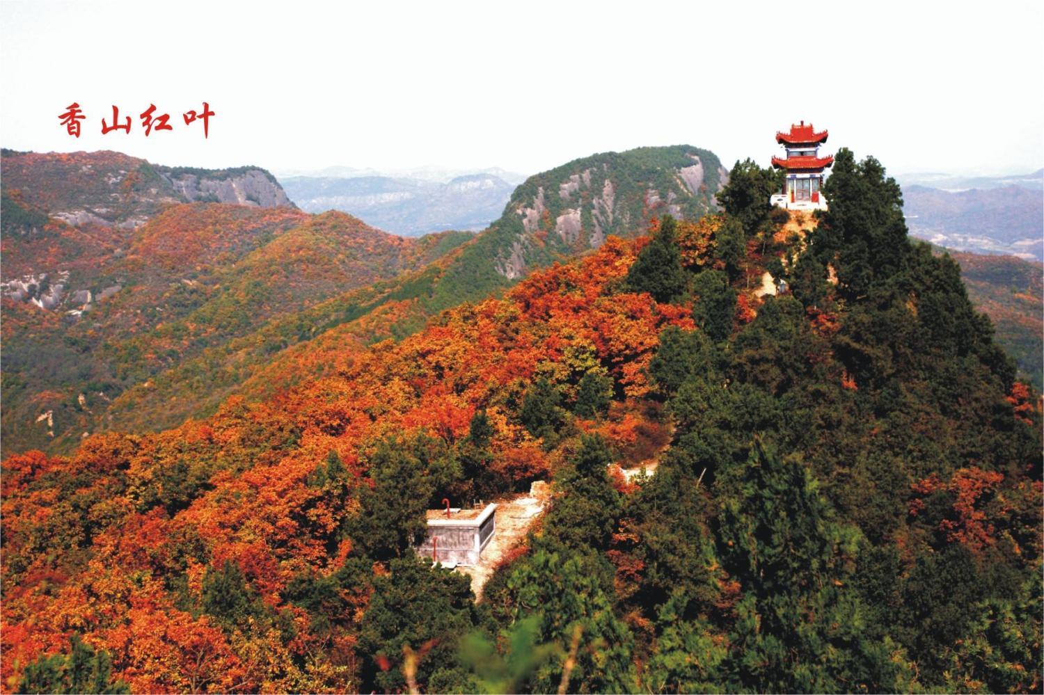 #秋天去旅行##北京香山红叶#