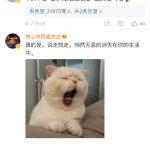 不爱生气是无所谓, 不是脾气好
