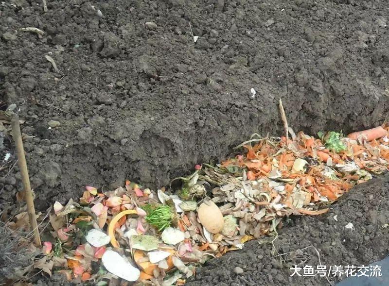 只需要挖一个坑就能制作堆肥, 等几个月就能得到健康的肥土