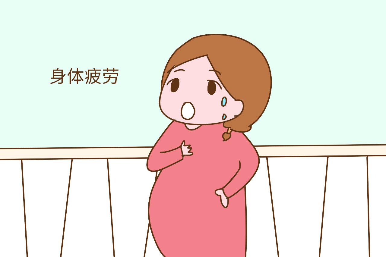 孕妈身体有这几个表现, 说明严重缺水, 要多喝水保胎