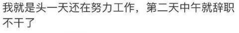 真正想要离职的人, 都是一言不发就走? 网友: 要么忍, 要么滚