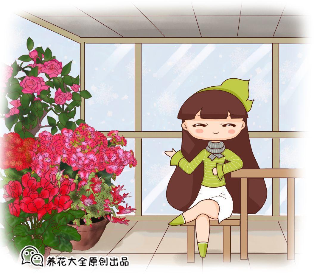 这15种花超抗冻, 零下十度也冻不死, 一开就是3个月!