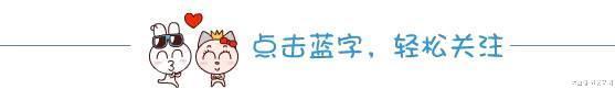 火龙果的黑籽轻松养成爆盆的可爱多肉, 长大后完全变了样