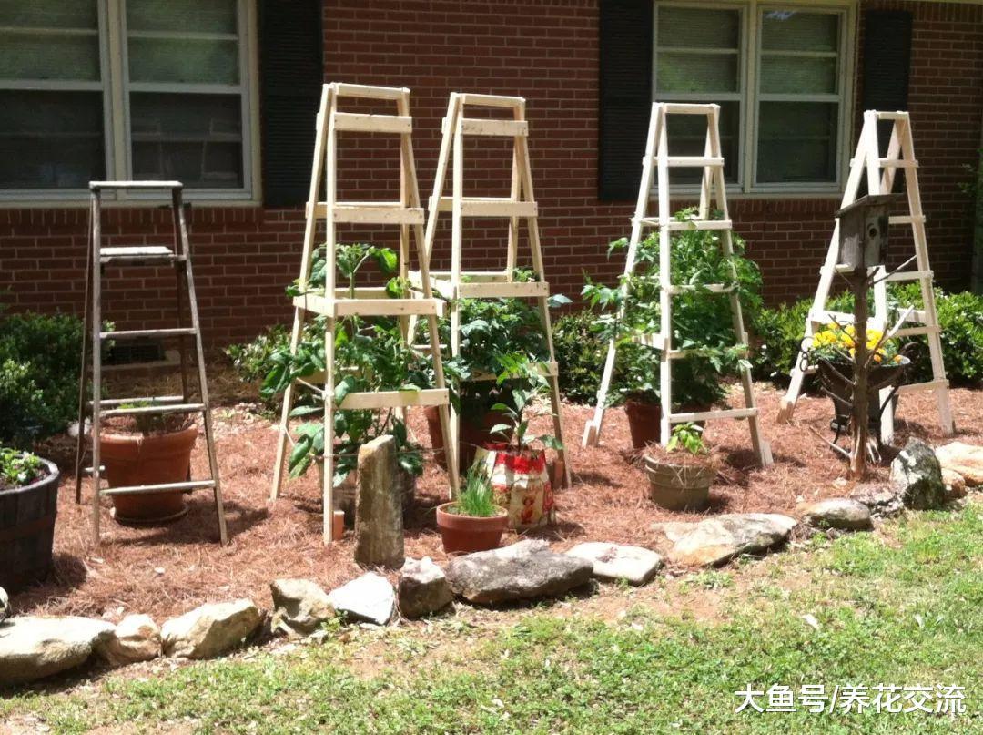 10个用家里废弃材料制作的植物架子, 不怕植物倒伏、株型散乱