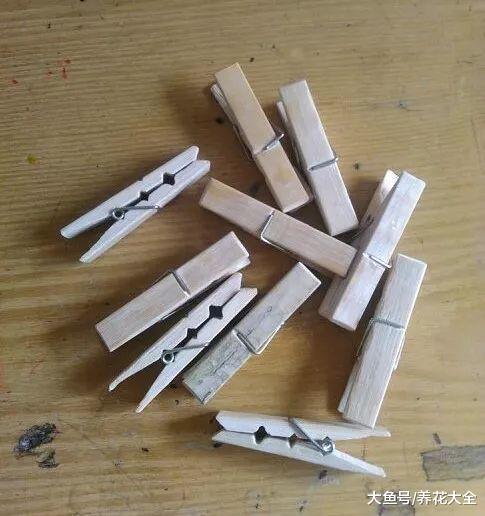 买的花盆又贵又难看? 花花教你自制花盆, 省钱又漂亮!