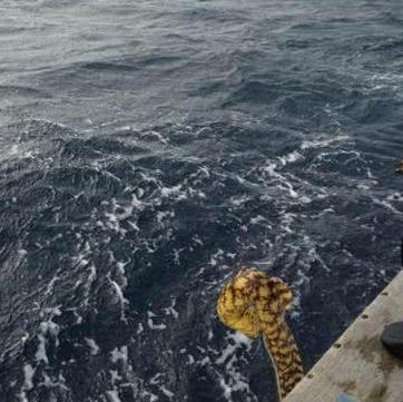 男子在海上钓到不明物体, 拉近钓鱼线后, 男子自己不高兴了