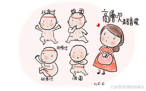 怀孕后高层次超音波做不做? 先了解这5个问题, 再决定